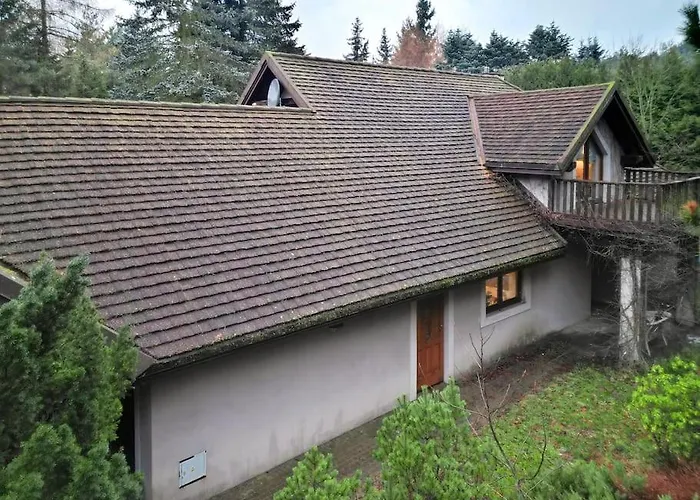 Dom wakacyjny Leśny Dom Z Basenem W Okolicy Zegrza Gasiorowo (Legionowo)